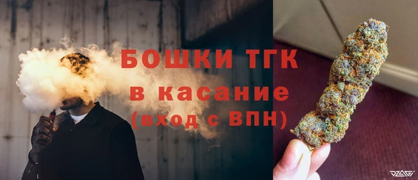 тгк Абаза