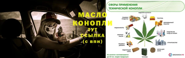 тгк Абаза