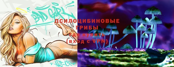 скорость Алексин